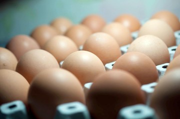 A tojást főzés előtt áztatni, mosni vagy törölni érdemes? Az orvos válaszol