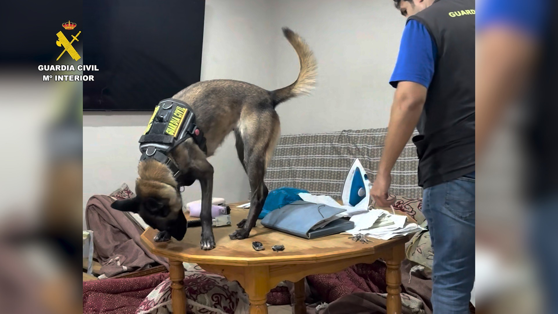 Cae una red de tráfico a Melilla: 200.000€ con motos acuáticas