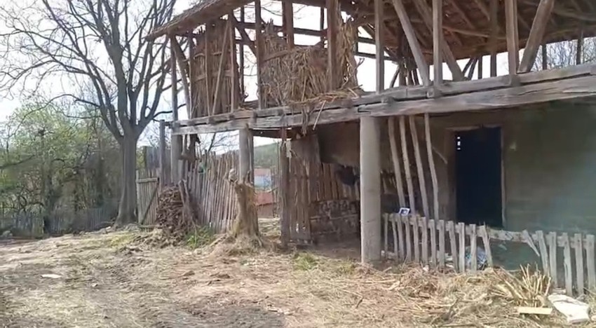 Put koji je prešla Danka Ilić na dan ubistva