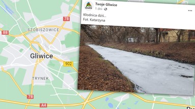 Mieszkańców Gliwic zszokował wygląd rzeki. To nie kra, to piana