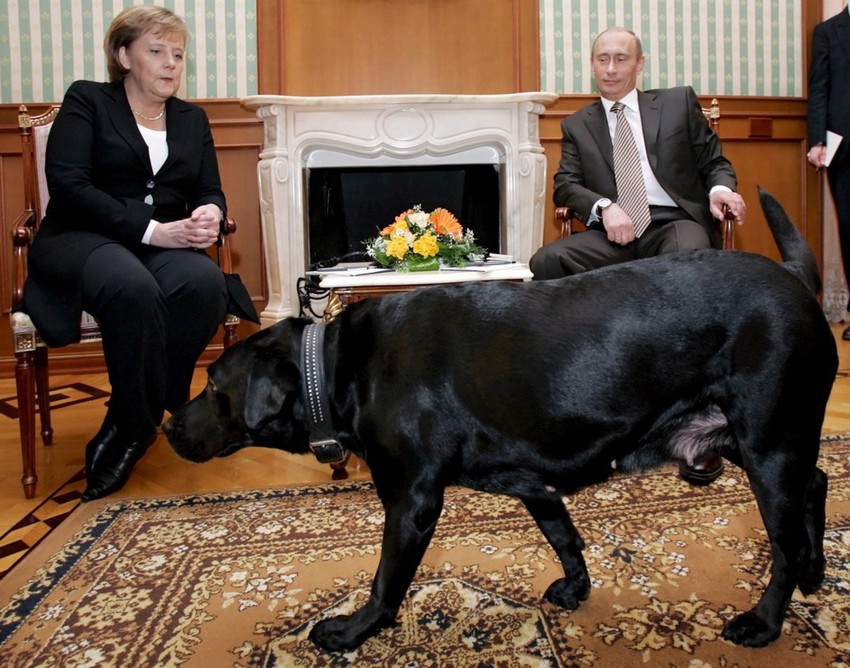 Angela Merkel, Vladimir Putin i njegov labrador Koni u Sočiju 21. januara 2007.