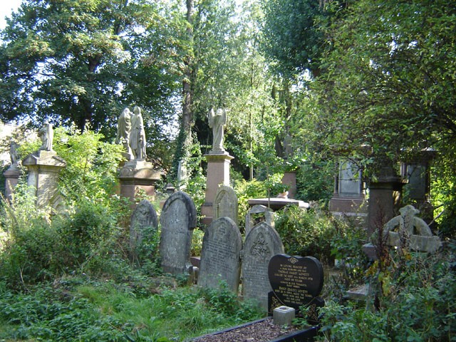<b>Abney Park Cemetary</b> - Jeden z siedmiu wspaniałych londyńskich cmentarze, założony w 1840 roku. Obecnie spełnia także funkcję kolebki subkultury gotyckiej. Od tego miejsca nazwę wziął także steampunkowy zespół Abney Park.