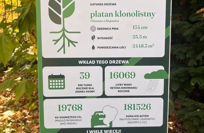 Co dają wrocławskie drzewa? Możesz sprawdzić na etykietach