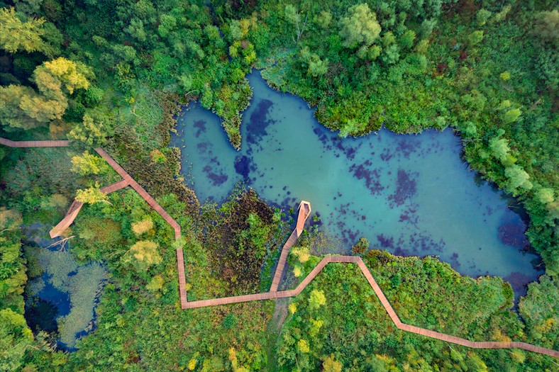 Stary Sącz - Enklawa przyrodnicza "Bobrowisko"