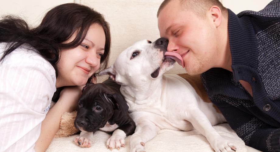 #MiłośćSzczeka: "Jego eks nie lubiła psów. Dziś tworzymy rodzinkę dwa plus dwa"