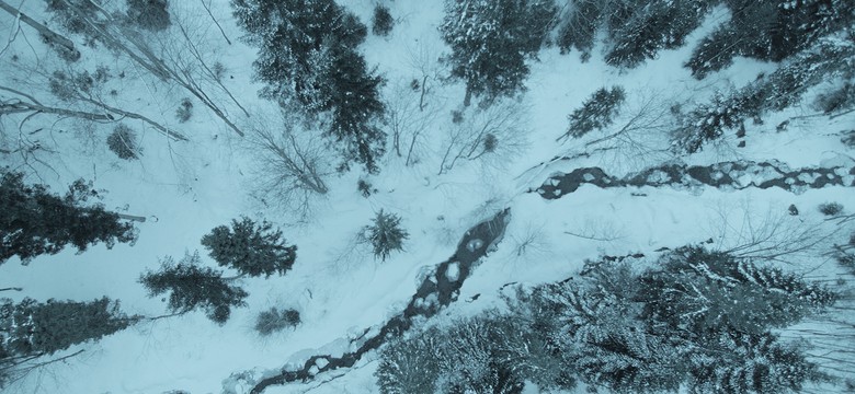 Dwa polskie filmy krótkometrażowe na festiwalu w Sundance: "Harda" Marcina Polara oraz "Acid Rain" Tomka Popakuli