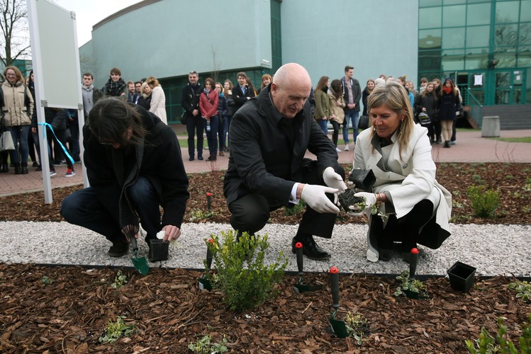 'Ogród Pompego' otwarto na terenie Warszawskiego Uniwersytetu Medycznego