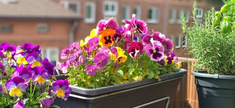 Sąsiad ciągle zalewa Twój balkon? Sprawdź, co możesz zrobić i jakie masz prawa