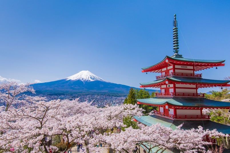 Cherry,Tree,And,The,Pagoda,,Which,Was,Fuji,And,Background