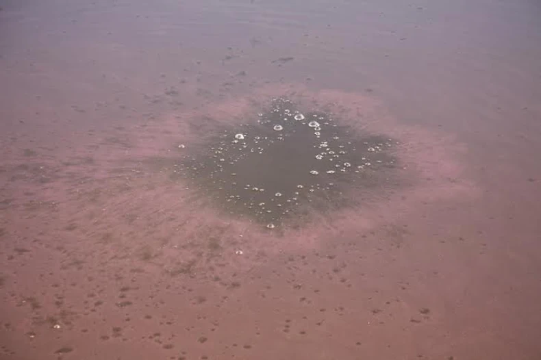 Sluzavo crvenilo prekrilo celo jezero