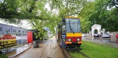 Drzewo spadło na tramwaj. Po burzy objazdy