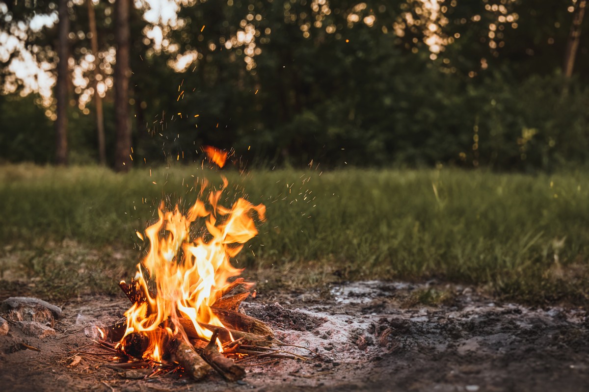 Akcja leśników na majówkę. Apelują o rozsądne grillowanie