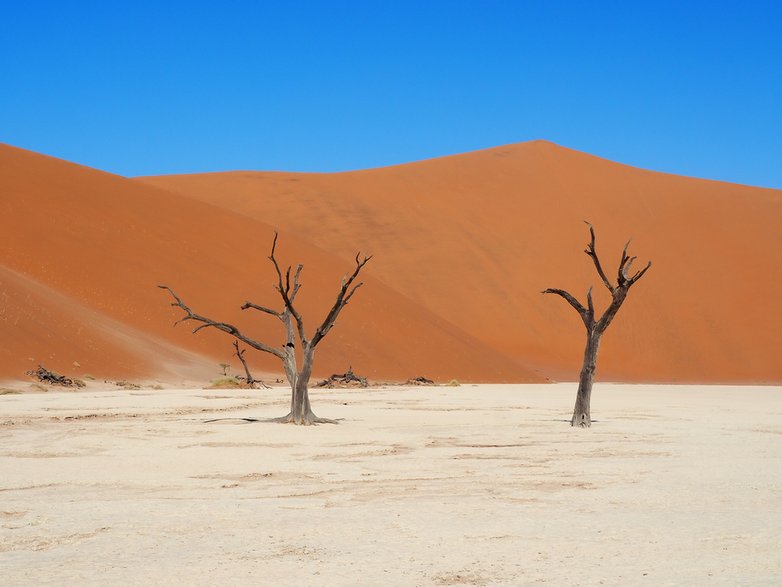 Deadvlei