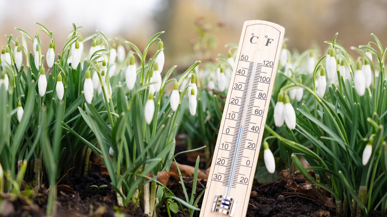 Končí sa meteorologická zima. (ilustračné foto)