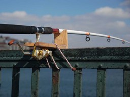 SN: nielegalny połów ryb to przestępstwo, nie wykroczenie