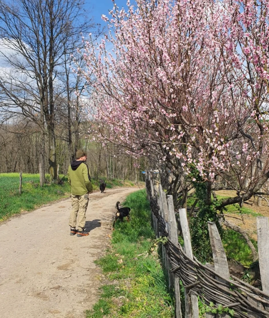 Imanje Nenada Jezdića