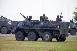 Niemcy nie chcą "plądrować" Bundeswehry. Wniosek o szybkie dostarczenie transporterów przepadł