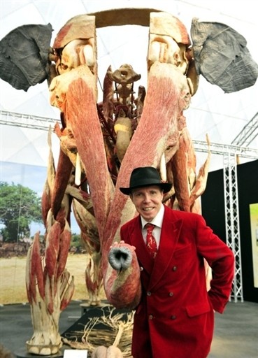 VON HAGENS GERMANY PLASTINATION