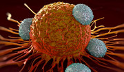 Nasze limfocyty T mogą zabijać raka