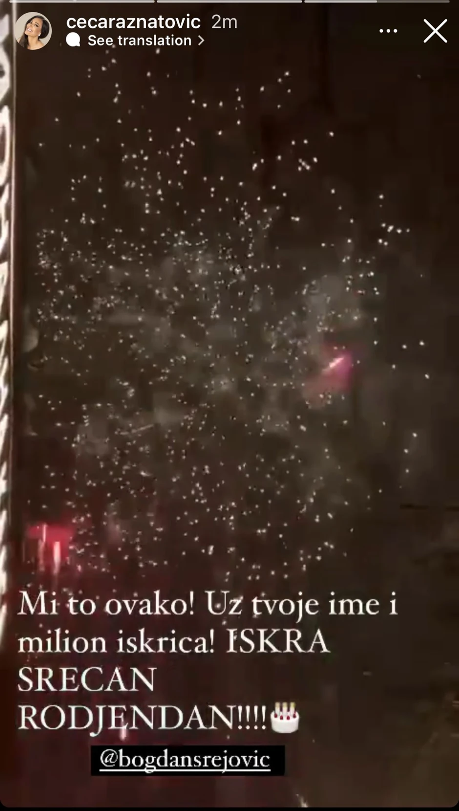 Ceca, Bogdan i Iskra