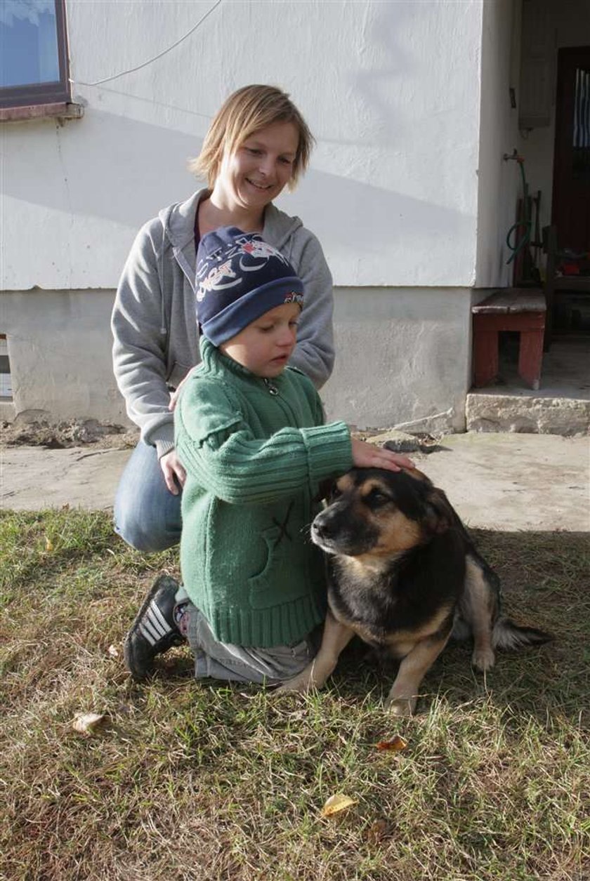 Dziękuję pieskowi za uratowanie życia