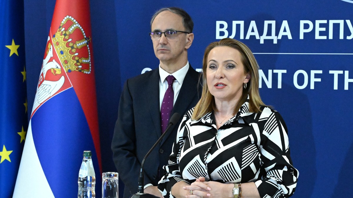 Snežana Paunović  zakon samouprava