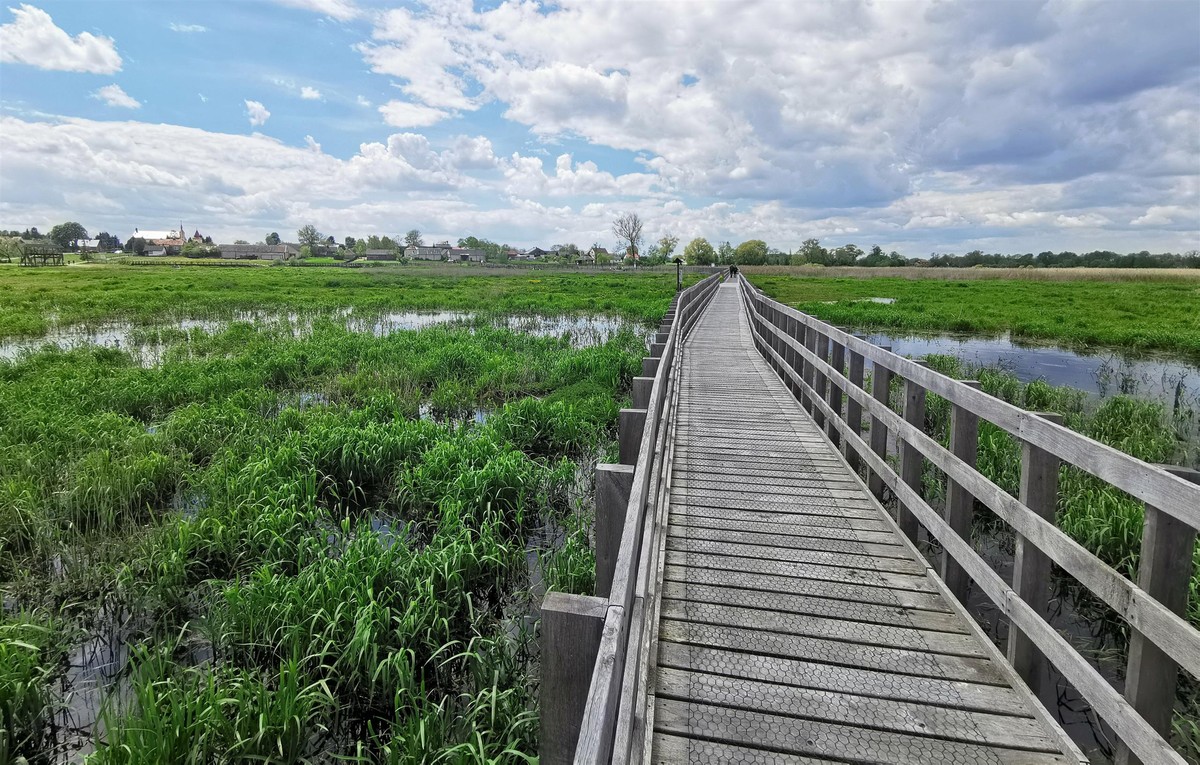 Polska Amazonia wysycha. Dyrektor NPN: Narew zaczyna nam umierać