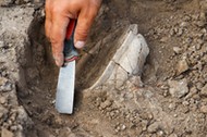 Archeologia. W Polsce znaleziono najstarszy bumerang na świecie