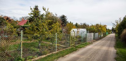 Czy na działce właściciela, bez jego zgody, można posadowić słup elektroenergetyczny? Odpowiadamy