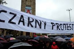 PO chce wyjaśnień ws. ataku na uczestników "czarnego protestu" w Poznaniu