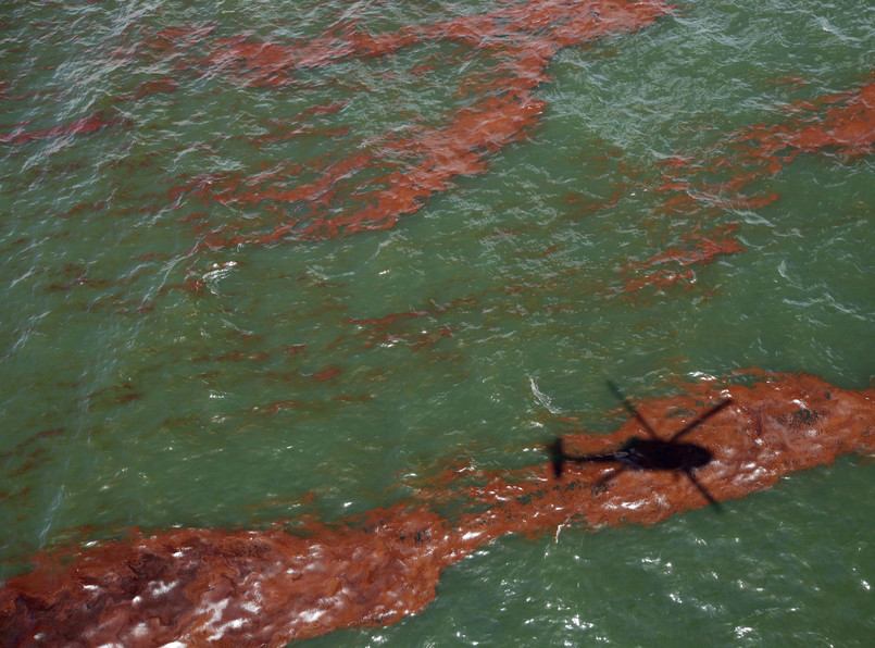 Galeria zdjęć: Ropa niszczy Zatokę Meksykańską