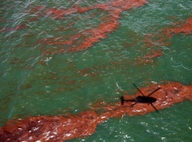 Galeria zdjęć: Ropa niszczy Zatokę Meksykańską