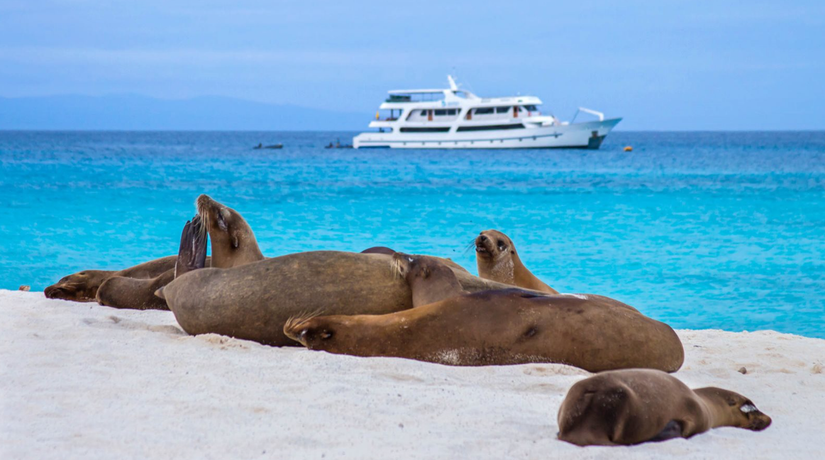 Ekwador – przygoda w Amazonii i rejs katamaranem na Galapagos