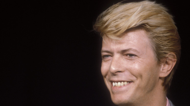David Bowie hajtincse egy aukción kelt el /Fotó:AFP