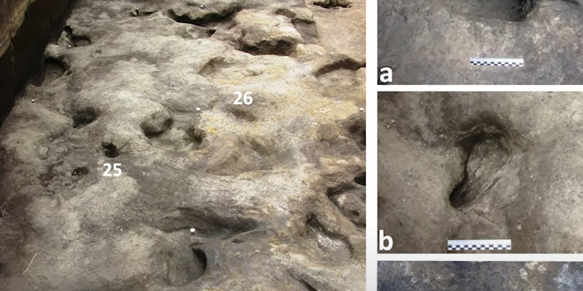 Te ślady stóp podobno mają aż 300 tys. lat i są najstarsze w Europie.