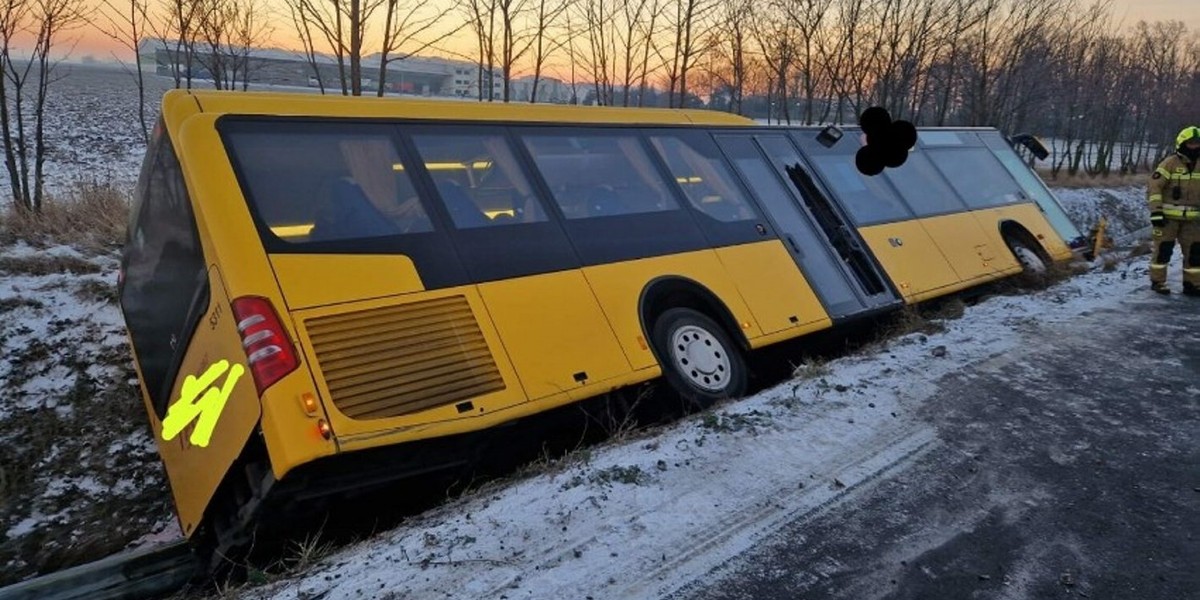 Autobus z pasażerami wjechał do rowu.