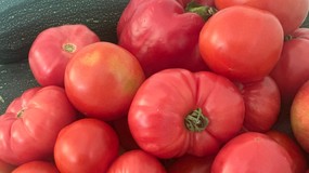 Co zrobić, żeby zielone pomidory dojrzały?