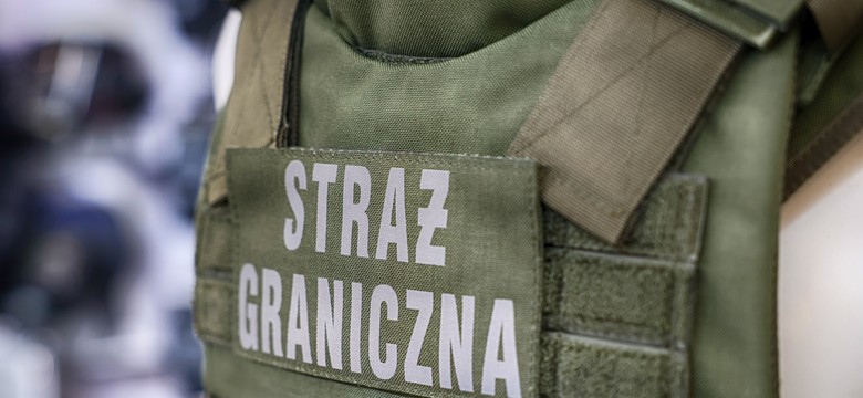 Wróciły kontrole graniczne. Zatrzymano pierwszych imigrantów
