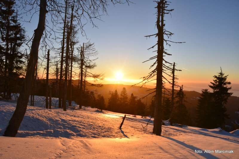 Szlak na Turbacz (1310 m n.p.m.) — najwyższy szczyt Gorców