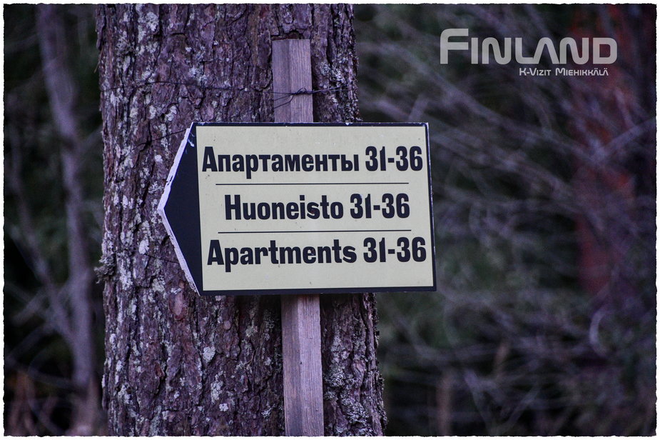 "Nasz" ośrodek wypoczynkowy w lesie niedaleko granicy z Rosją...