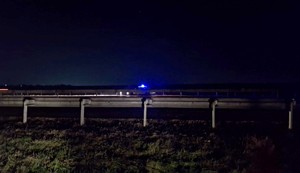 Ovde je pronađena Milica Asanović