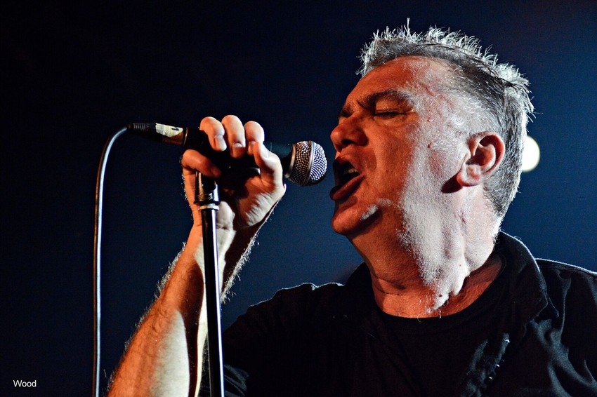 Zoran Kostić Cane, Koncert, Škrtice, Dom omladine, petak 3. novembar