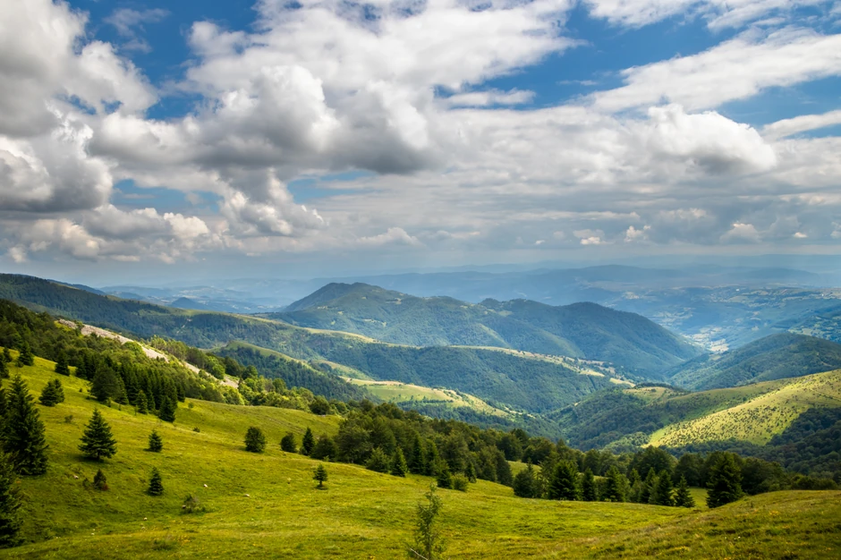 Golija