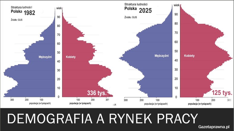 Demografia a rynek pracy w Polsce - porównanie piramid wiekowych w 1982 i 2025 (Dane GUS)