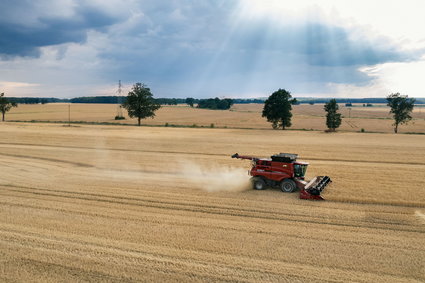 Polska spichlerzem Europy. Tak dobrze jeszcze nie było