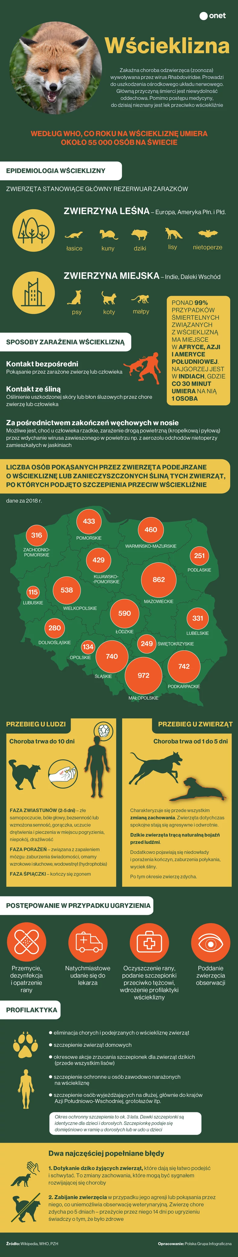 Uwaga na wściekliznę [INFOGRAFIKA]