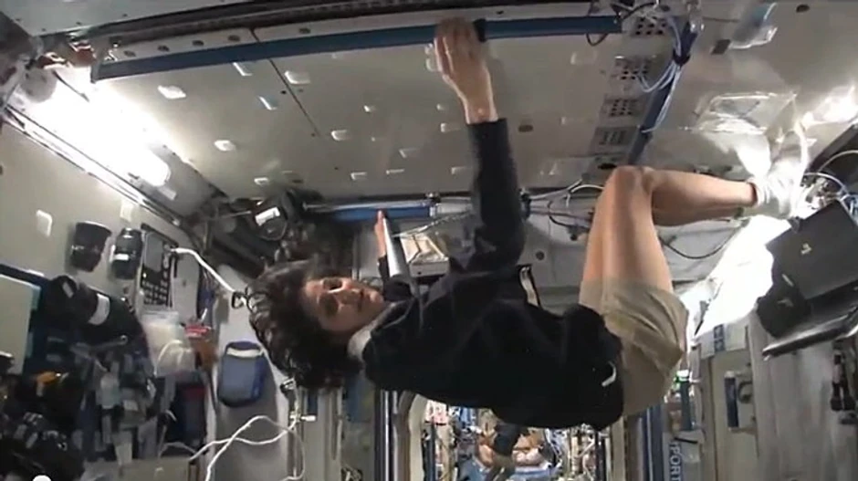 Prostor, koji je na prvi pogled prilično skučen, zbog mogućnosti kretanja u tri dimenzije istovremeno deluje maltene prostrano