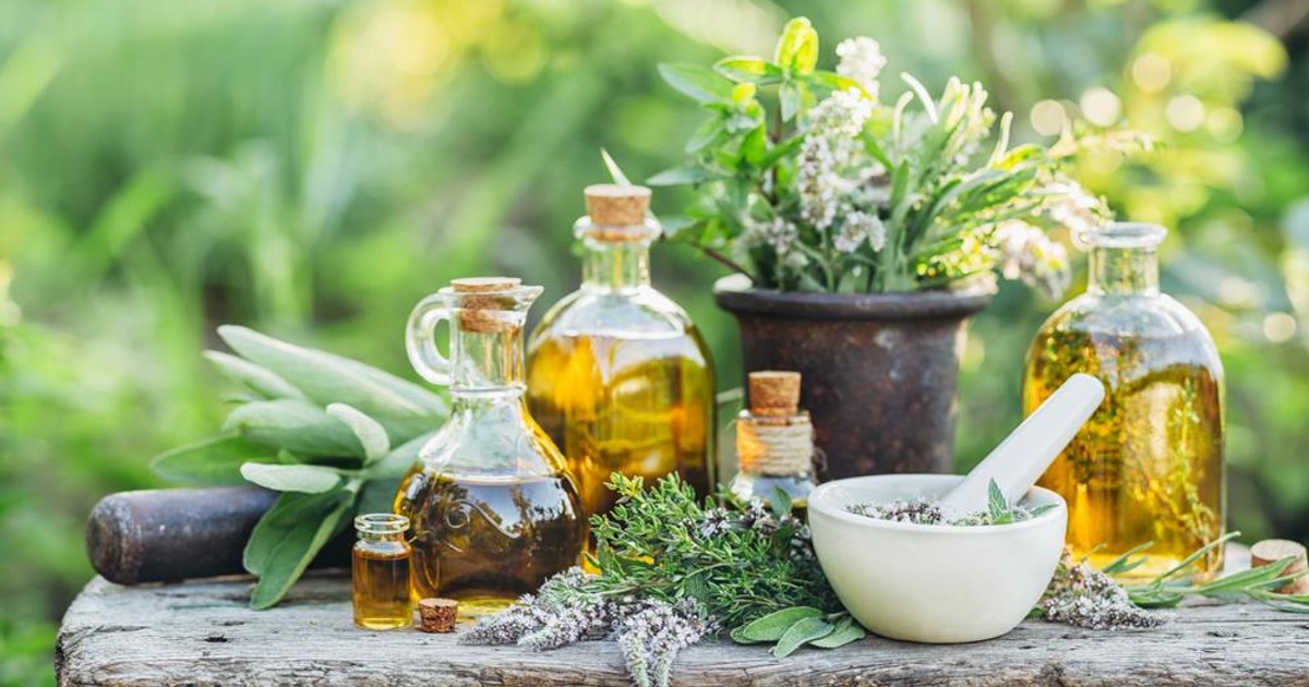 Zioła o działaniu przeciwbólowym i przeciwzapalnym. Co stosować na