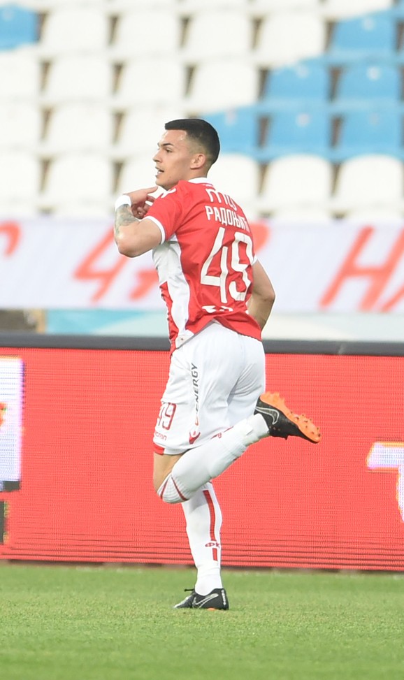 Radost Nemanje Radonjića