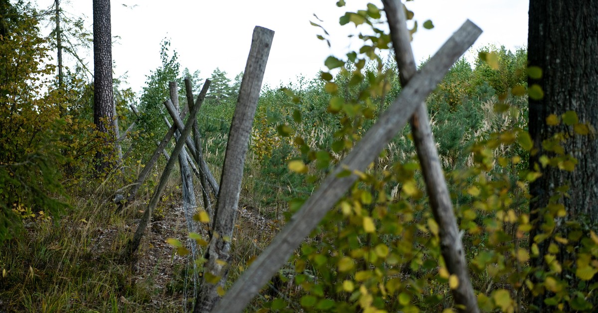 Policję do Polaków w Norwegii doprowadził zapach. To, co odkryli, zaskoczyło wszystkich